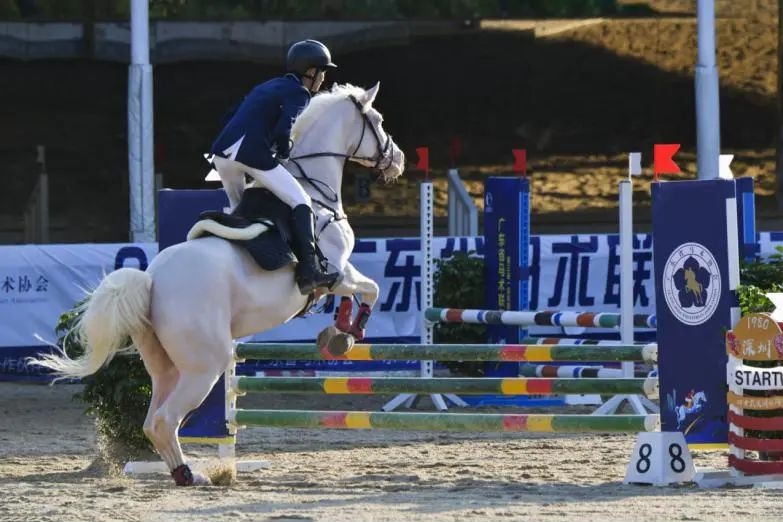 光明科学城超级联赛马术邀请赛