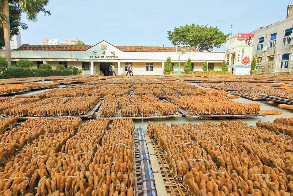 陪伴深圳人20年的沙井金蚝节本周五开幕