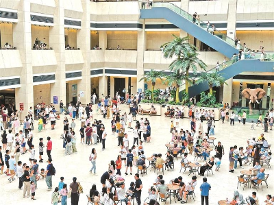 深圳博物馆的盛夏果实 深圳博物馆的盛夏果实