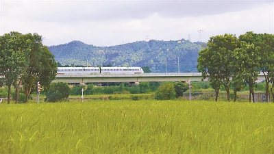 6月至10月欢乐田园游客接待量同比增长22% 6月至10月欢乐田园游客接待量同比增长22%