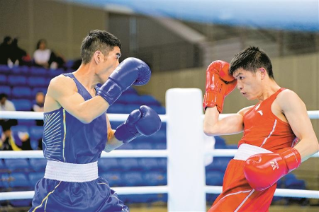 火力拳开!国内最高水平拳击赛开赛 火力拳开!国内最高水平拳击赛开赛