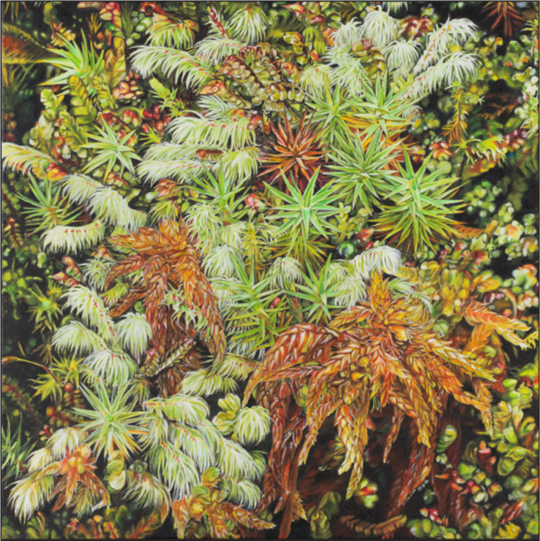 “双面镜——植物的艺术之美与科学之真 ”：自然科学与艺术灵感的相辅相成