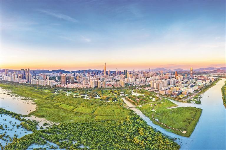 2025国际红树林之夜下周启幕